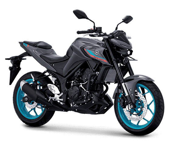 Yamaha MT25 - Gambar 2
